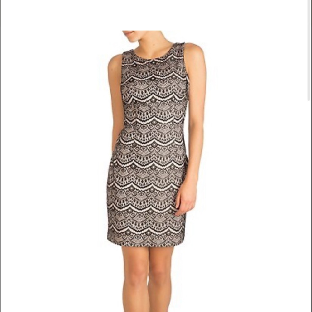 Guess Dress- beautiful lace